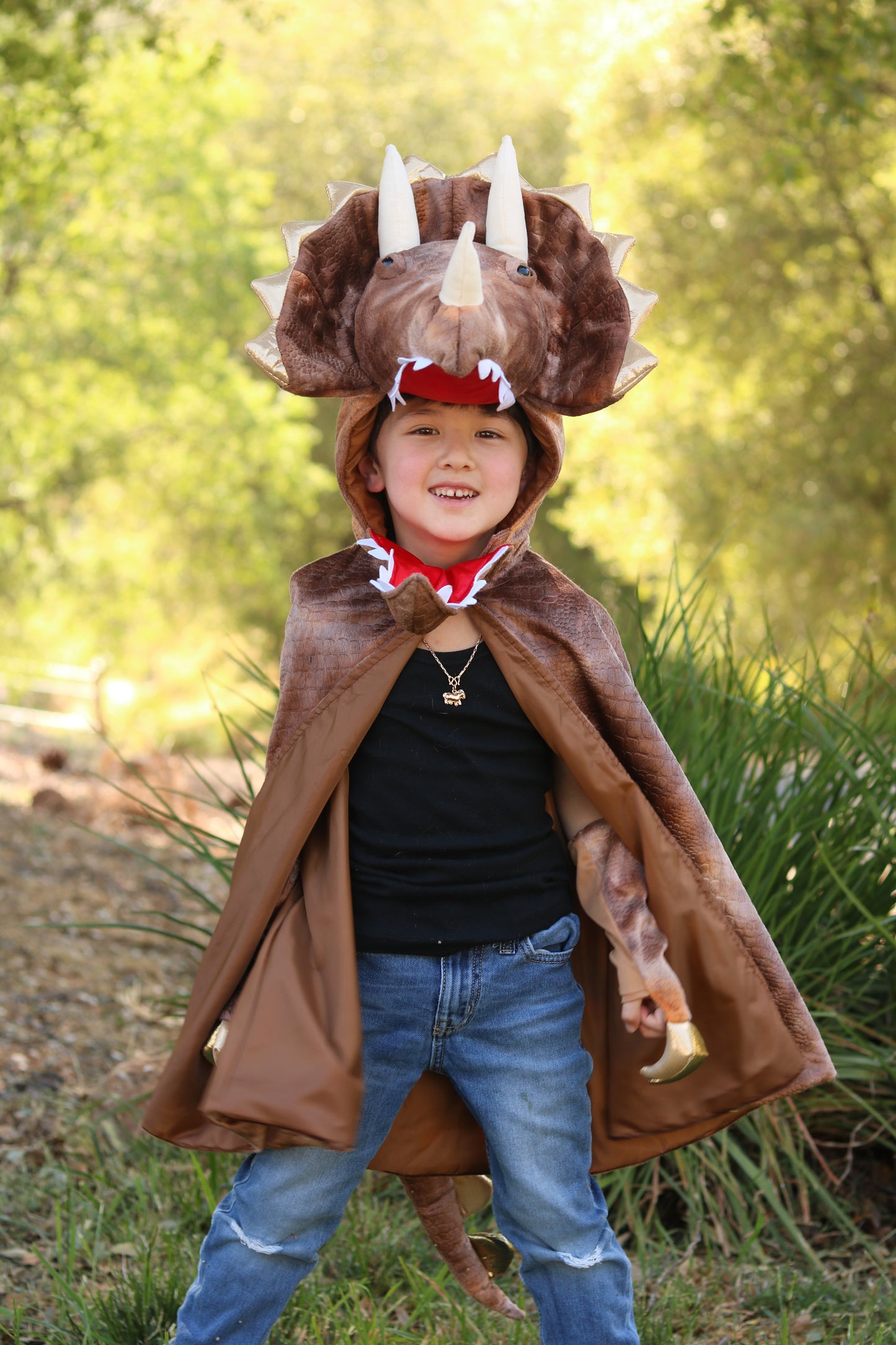 Grandasaurus Triceratops Cape with Claws