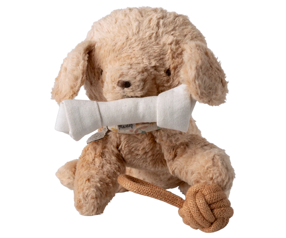 Pet supply, Toys
