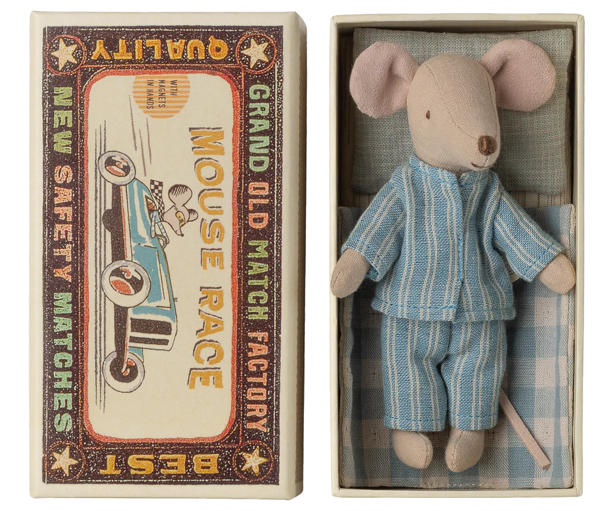 Big brother mouse in matchbox