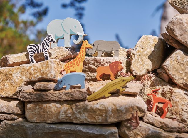 Safari Set