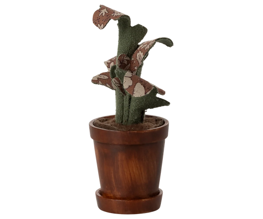 Flower pot with plant