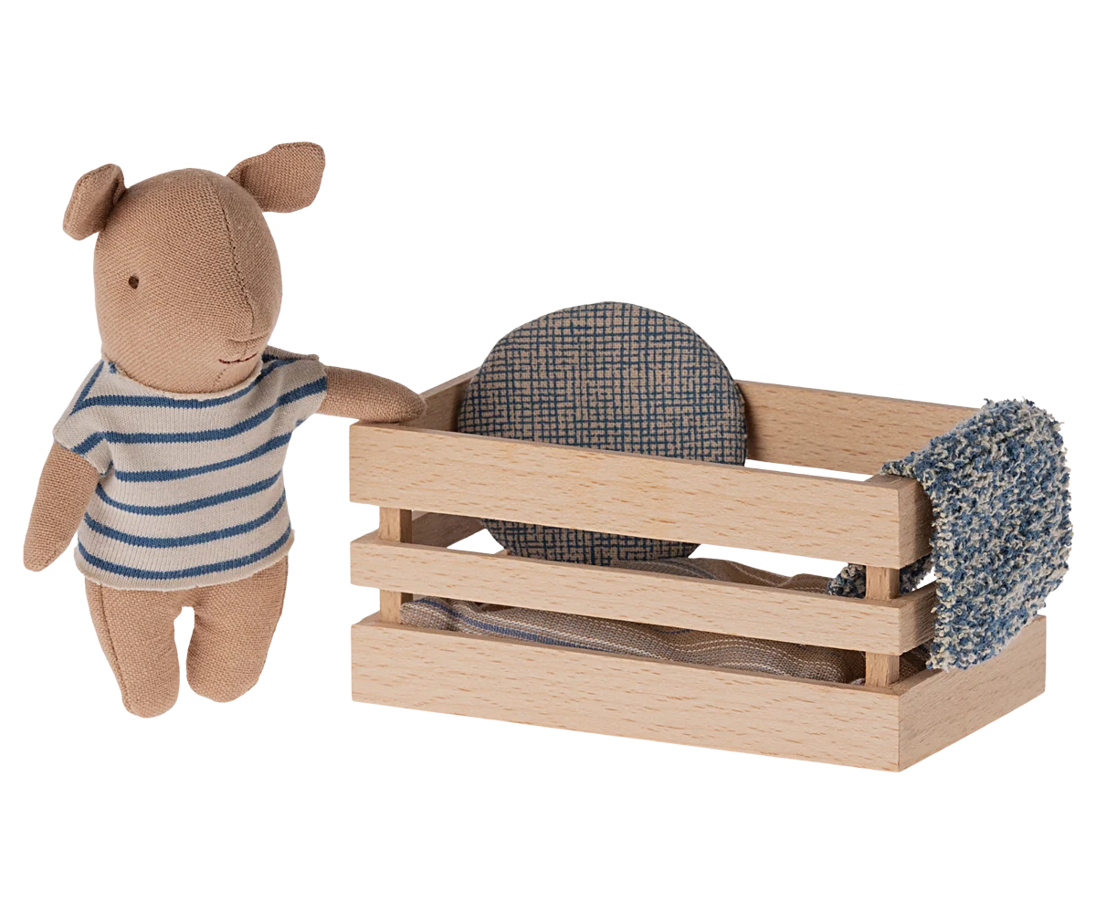 Pig, Baby in box - Boy