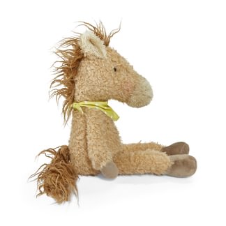 Pony Boy the Horse
