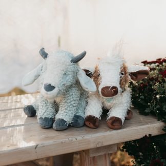 Moo Moo the Cow
