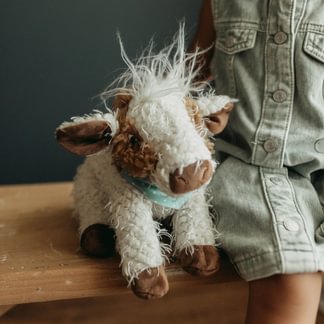 Moo Moo the Cow