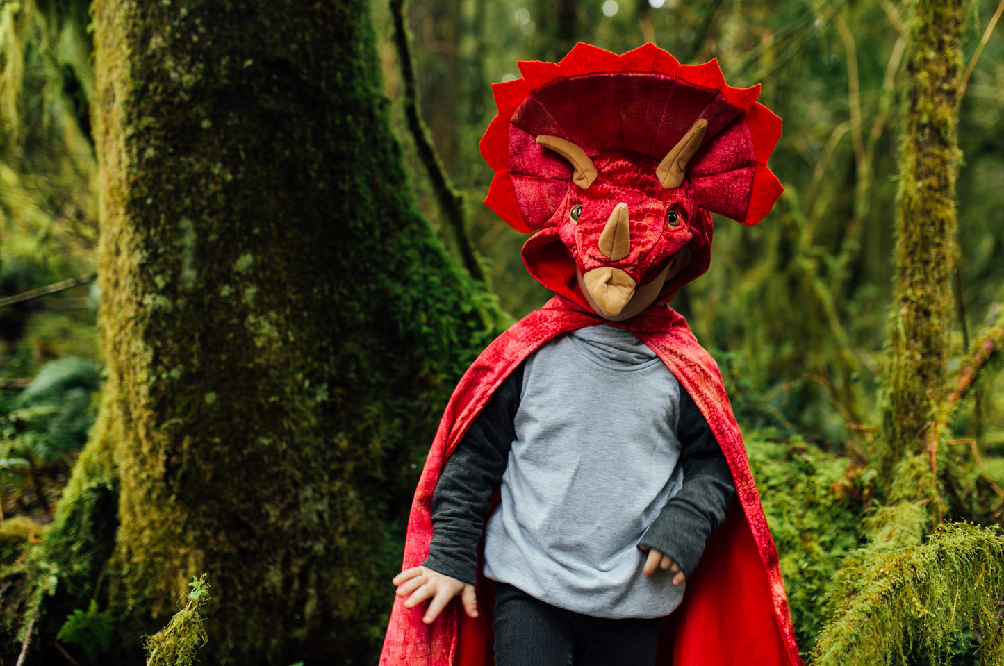Triceratops Hooded Dinosaur Cape