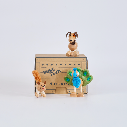 Barnfields Mini Crate: Peacock, Cat, Dog