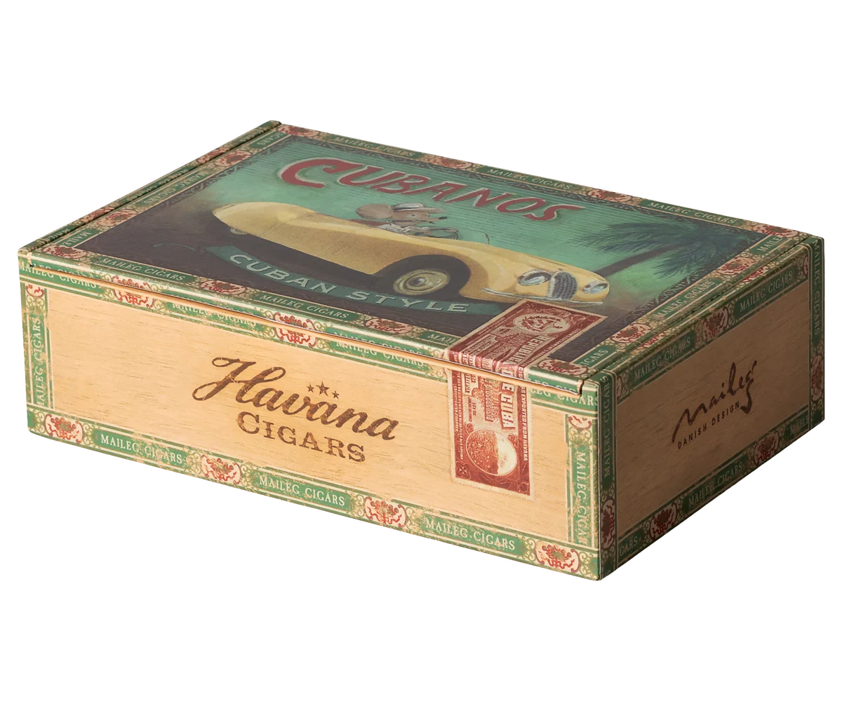 Grandma and grandpa mice in cigarbox