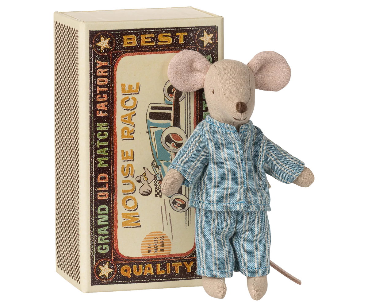 Big brother mouse in matchbox