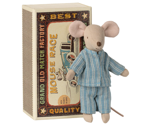 Big brother mouse in matchbox