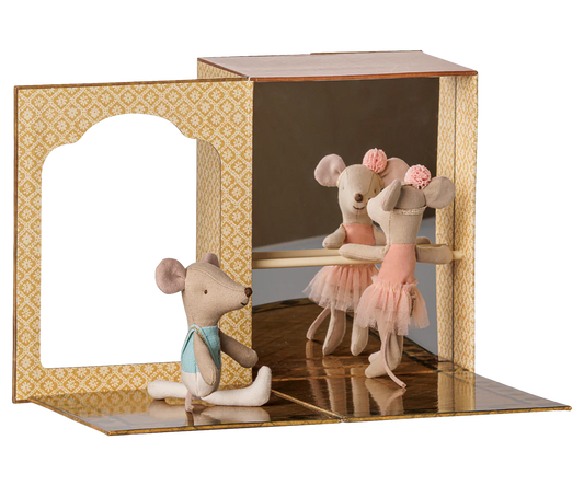 Ballet mice in dance studio, Little sister and brother