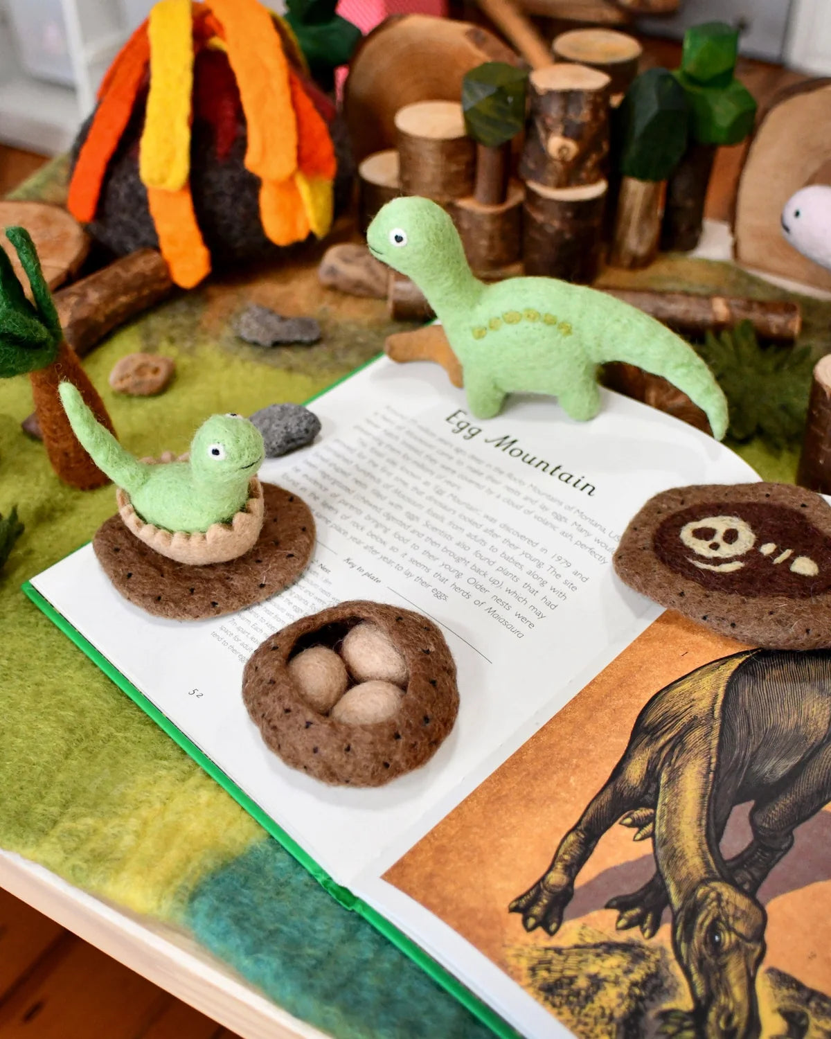 Felt Life Stages of a Dinosaur Brontosaurus