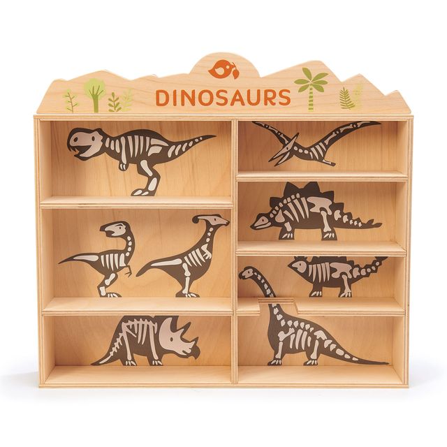 Dinosaurs Set