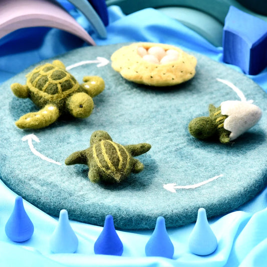 Life cycle of Green Sea Turtle Stuffed Toy