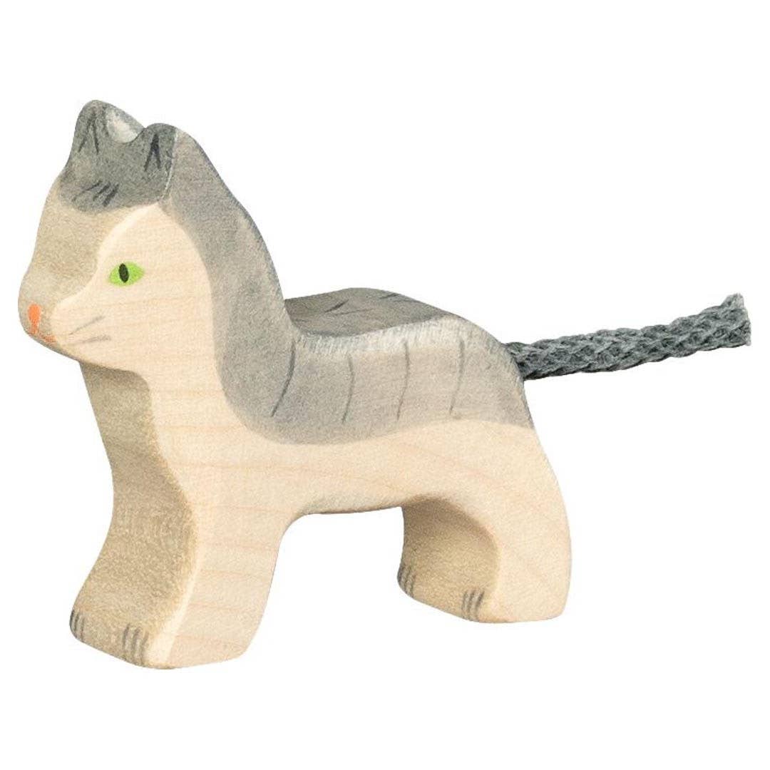 Cat, small, grey