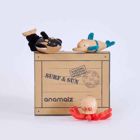Coral Bay Mini Crate