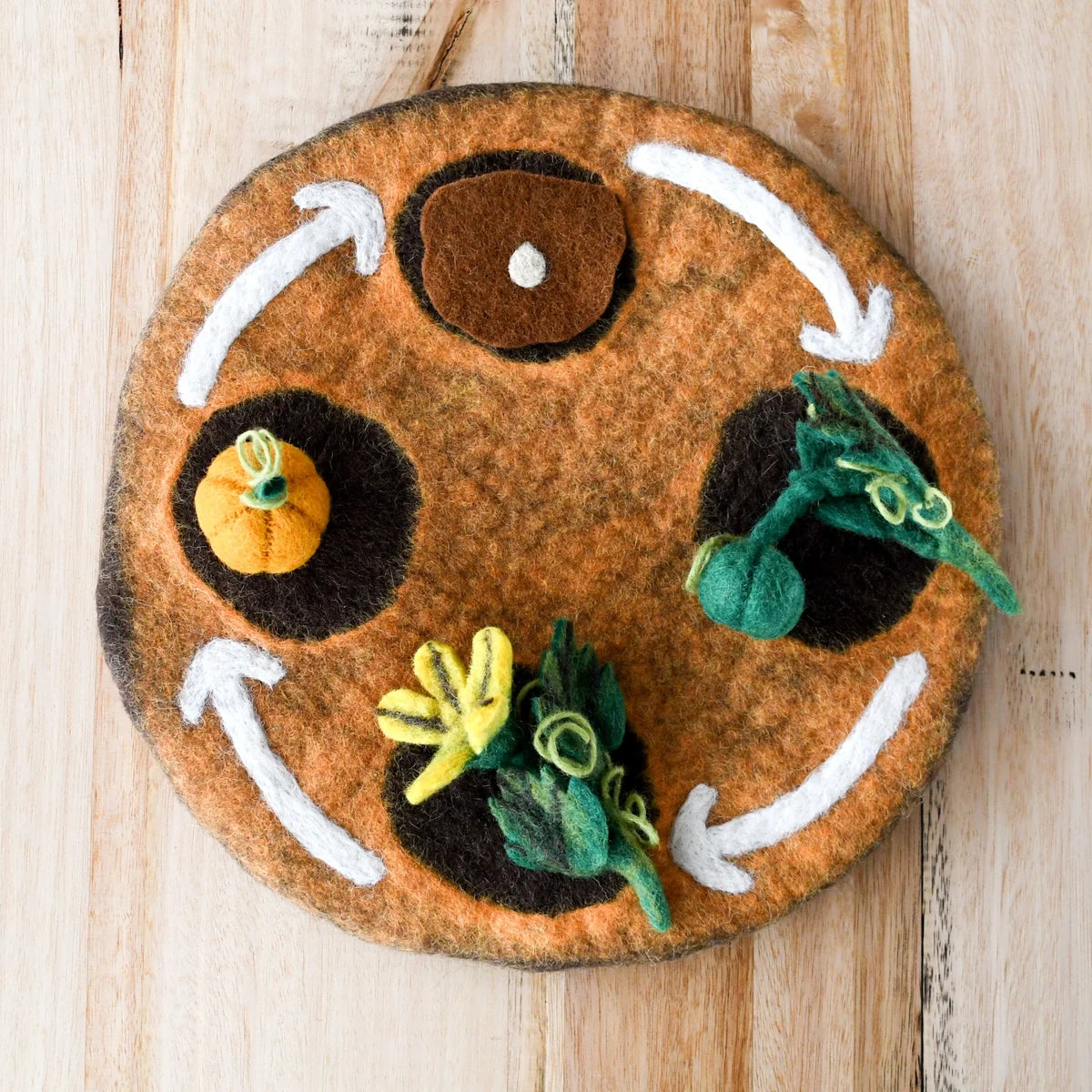 Felt Lifecycle of Pumpkin