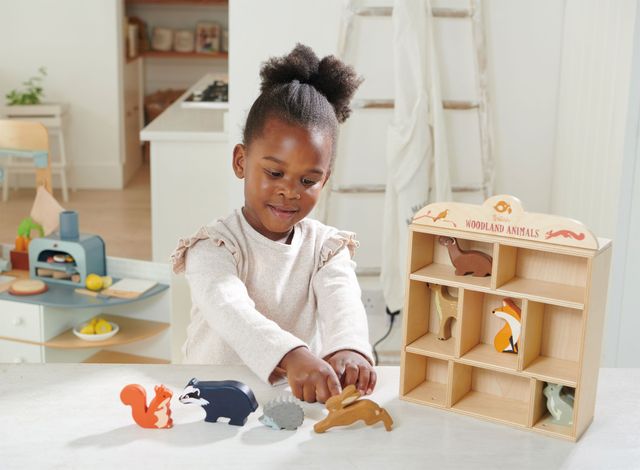 Woodland Animals Set