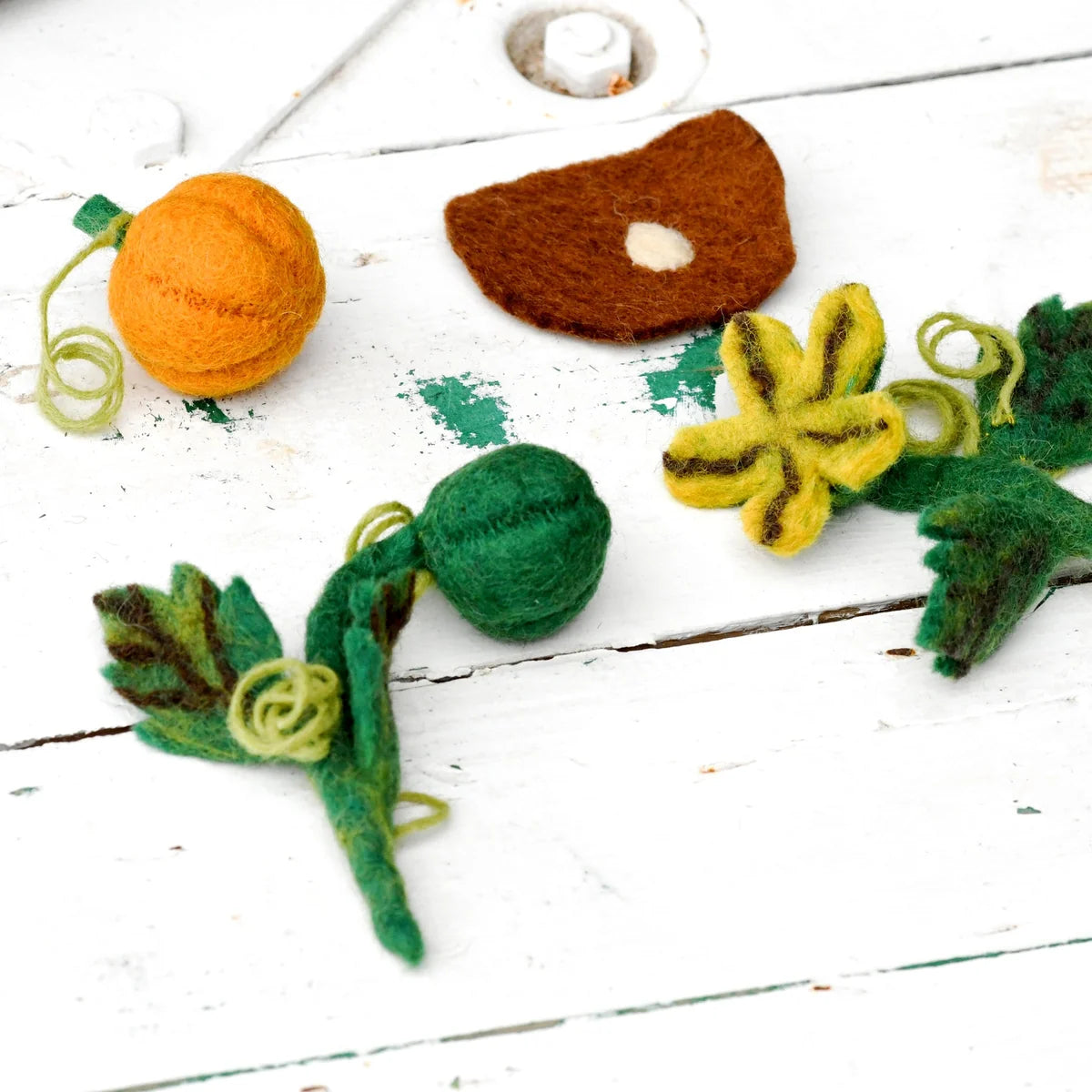 Felt Lifecycle of Pumpkin