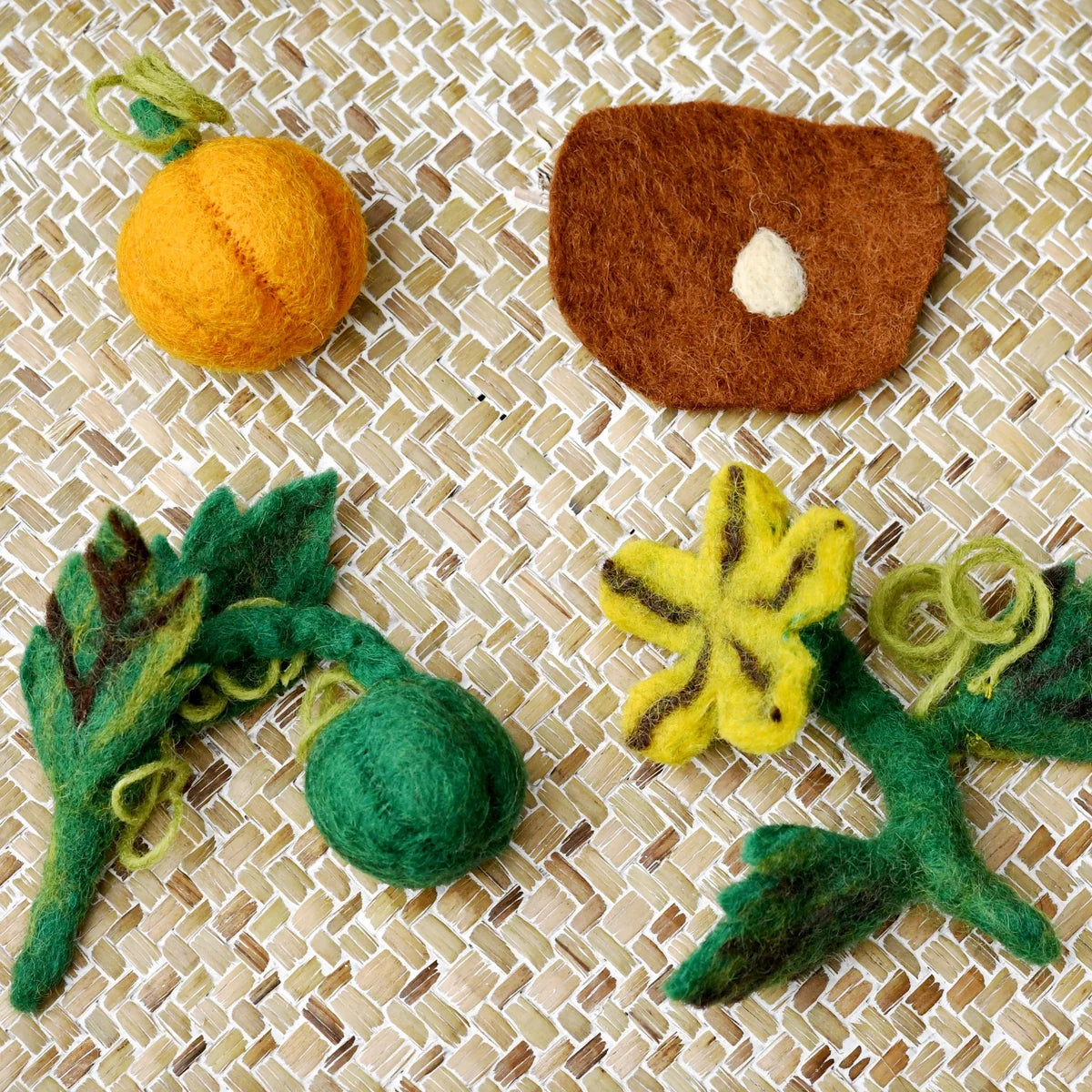 Felt Lifecycle of Pumpkin
