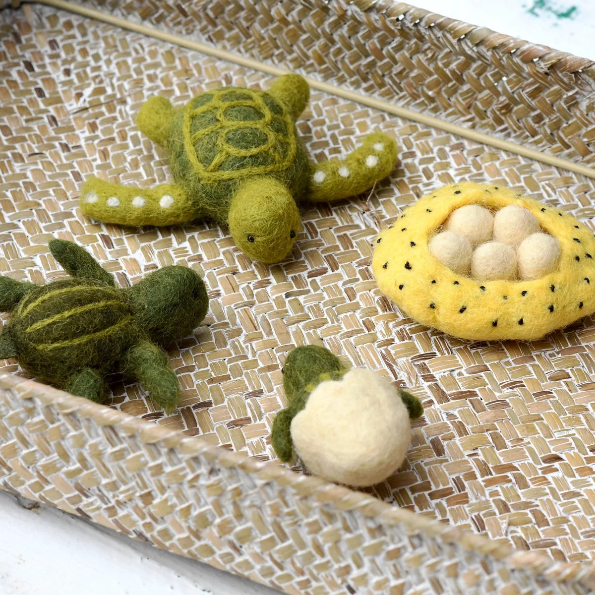 Life cycle of Green Sea Turtle Stuffed Toy