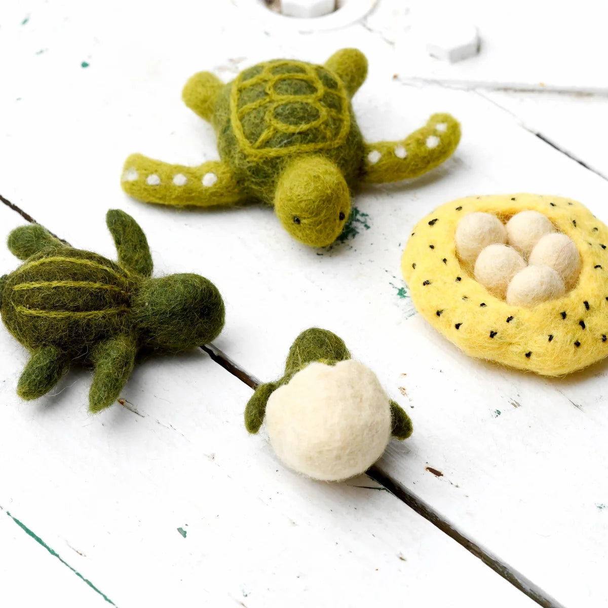 Life cycle of Green Sea Turtle Stuffed Toy